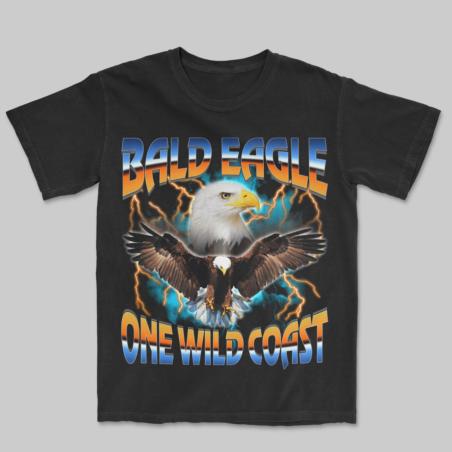 Bird Fluff Vintage Bald Eagle Unisex T-Shirt Asphalt / M